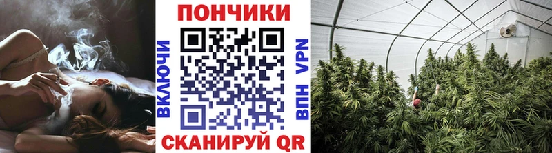 как найти закладки  Новоульяновск  кракен зеркало  Канабис Ganja 